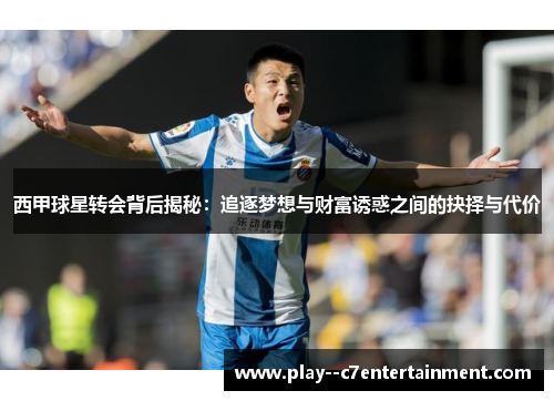 西甲球星转会背后揭秘：追逐梦想与财富诱惑之间的抉择与代价