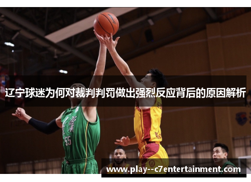 辽宁球迷为何对裁判判罚做出强烈反应背后的原因解析